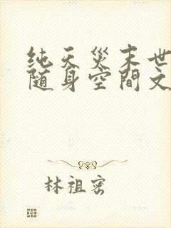 纯天灾末世重生随身空间文