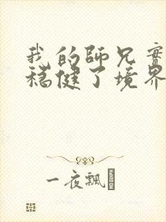 我的师兄实在太稳健了境界