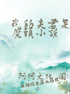 我的夫君是灭世魔头小说