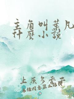 主角叫叶凡的是什么小说