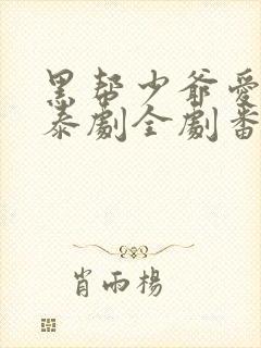 黑帮少爷爱上我泰剧全剧番外