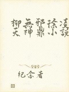 柳无邪徐凌雪吞天神鼎小说在线阅读