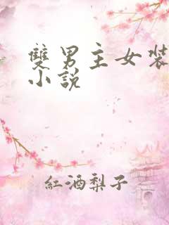 双男主女装大佬小说