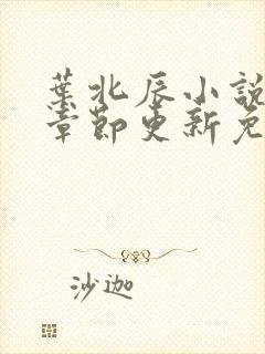 叶北辰小说最新章节更新免费阅读