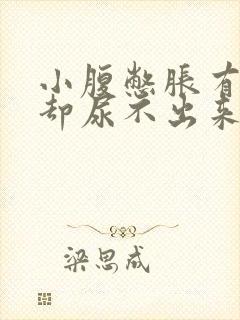 小腹憋胀有尿意却尿不出来