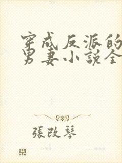 穿成反派的炮灰男妻小说全文