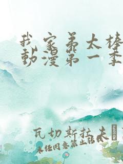 我家弟太棒动漫动漫第一季免费观看