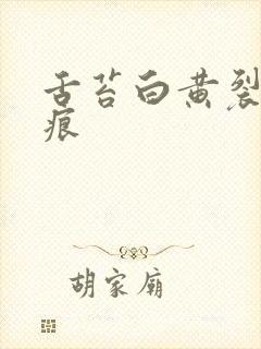 舌苔白黄裂纹齿痕