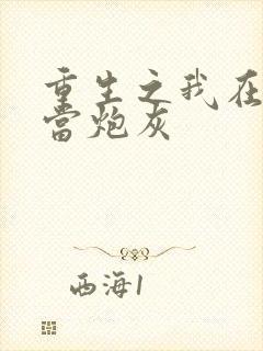 重生之我在末世当炮灰