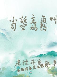 小说主角叫叶凡司空嫣然