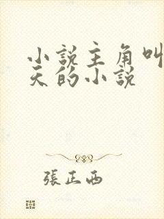 小说主角叫杨小天的小说