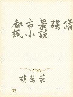 都市最强修真叶枫小说