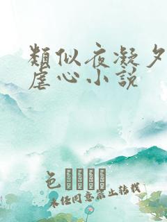 类似夜凝夕虐身虐心小说