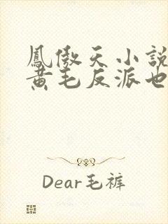 凤傲天小说里的黄毛反派也想幸福txt下载