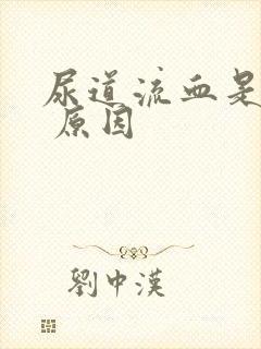 尿道流血是什么 原因