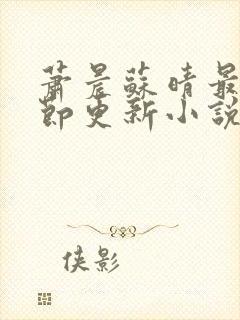 萧晨苏晴最新章节更新小说