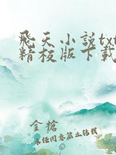 飞天小说txt精校版下载