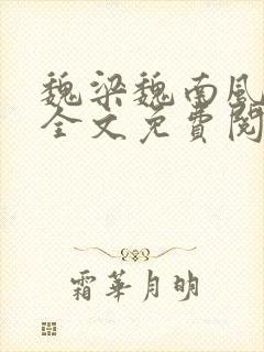 魏梁魏南风po全文免费阅读笔趣阁