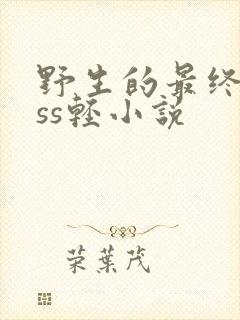 野生的最终boss轻小说