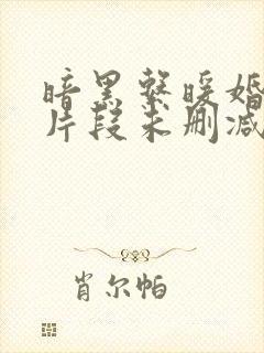 暗黑系暖婚开车片段未删减版