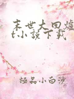 末世大回炉txt小说下载