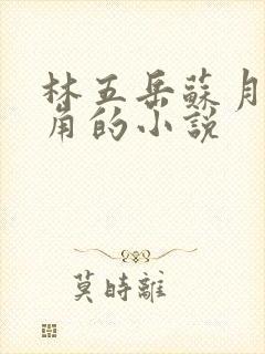 林五岳苏月灵主角的小说
