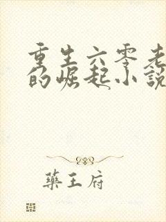 重生六零老太太的崛起小说