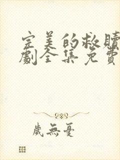 完美的救赎电视剧全集免费观看完整版