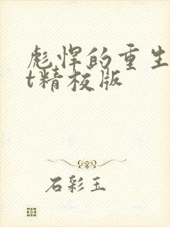 彪悍的重生txt精校版