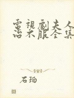 电视剧夫人她专治不服全集