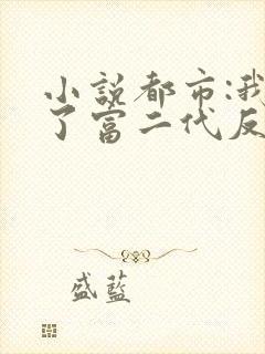 小说都市:我成了富二代反派完整版