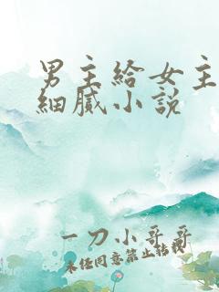 男主给女主口的细腻小说