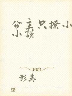 公主只撩小暗卫小说