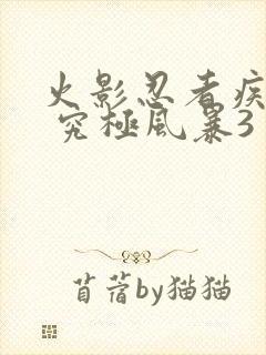 火影忍者疾风传 究极风暴3