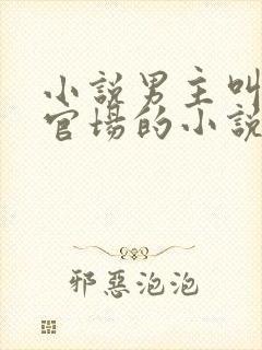 小说男主叫陈泽官场的小说