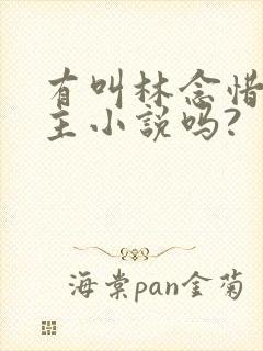 有叫林念惜的女主小说吗?