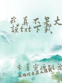 我真不是大佬小说txt下载
