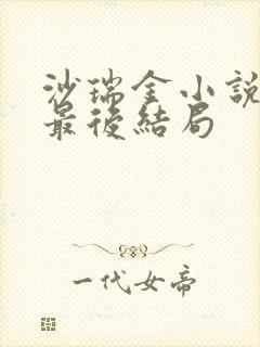 沙瑞金小说原著最后结局