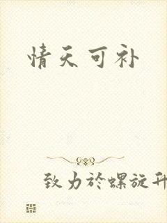 情天可补