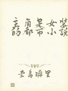 主角是女装大佬的都市小说