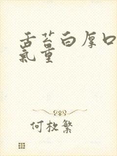 舌苔白厚口苦湿气重