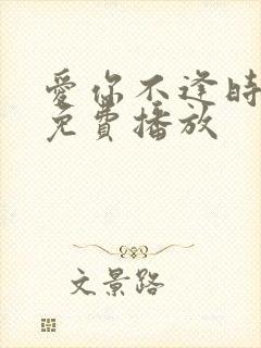 爱你不逢时短剧免费播放