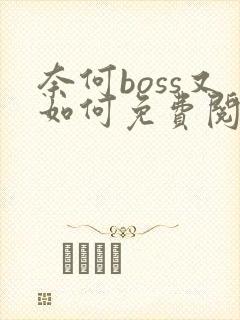 奈何boss又如何免费阅读小说