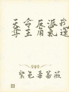 天命反派我靠掠夺主角气运成神