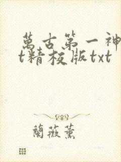 万古第一神txt精校版txt