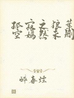 孤寂之狼叶凡司空嫣然未删减txt