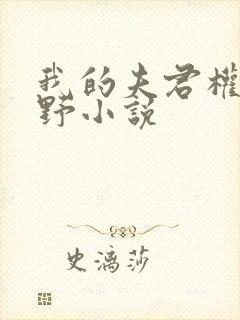 我的夫君权倾朝野小说