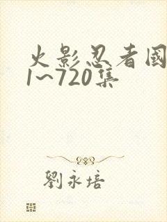 火影忍者国语版1~720集