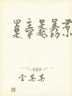 男主是暴君女主是穿越的小说