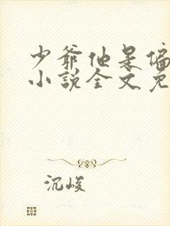 少爷他是偏执狂小说全文免费阅读笔趣阁